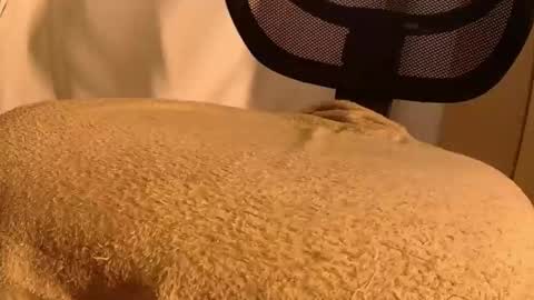 Mater online show from November 14, 2025, 5:44 pm