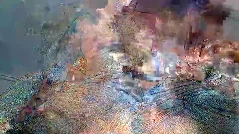 Snapshot of wolfrot chatting on February 2, 2026, 3:49 am wolf boy online show from February 2, 2026, 3:49 am