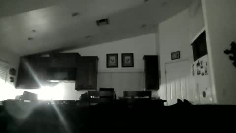 Ryan online show from April 17, 2026, 4:48 am