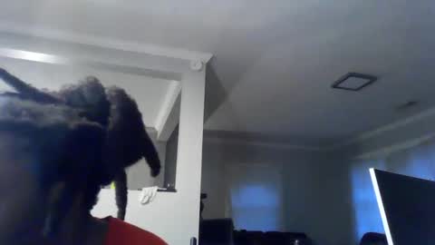 Woodpipe69 online show from December 16, 2024, 10:45 pm