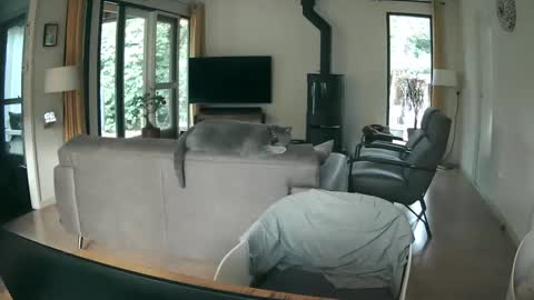 woodwurm and Snoeske online show from October 9, 2025, 7:06 am