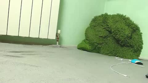 wow_devil online show from December 27, 2024, 6:57 am