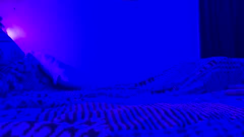 Snapshot of wowsers7 chatting on November 7, 2025, 8:03 am wowsers7 online show from November 7, 2025, 8:03 am