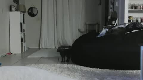 Crystal Lake online show from January 5, 2025, 5:20 am