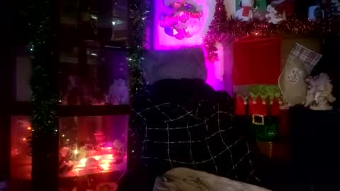 SCOOTER online show from November 23, 2025, 6:19 pm