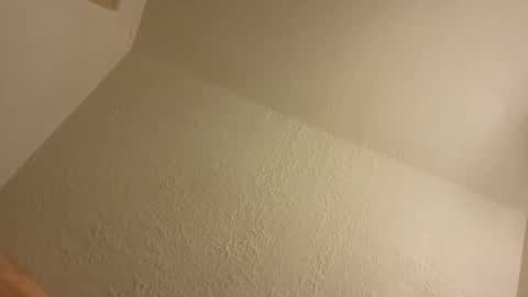 BONER DONOR online show from October 25, 2025, 11:40 am