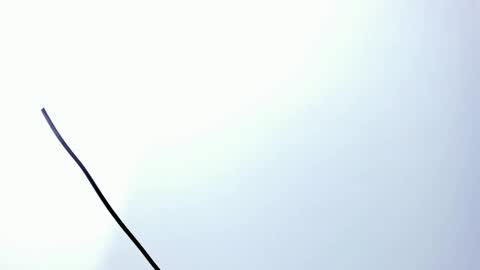 wyatt online show from December 20, 2025, 3:13 am