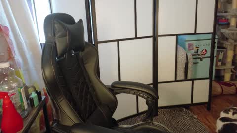 Wyatt online show from January 31, 2026, 7:11 pm