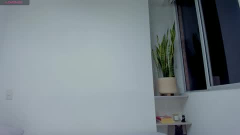 Xavier online show from November 11, 2025, 1:49 am