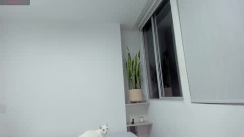 Xavier online show from December 13, 2025, 11:32 pm