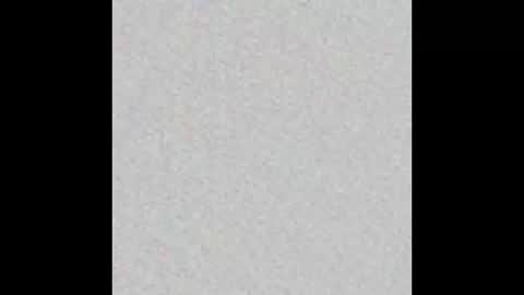 JSSD online show from February 28, 2025, 11:47 am