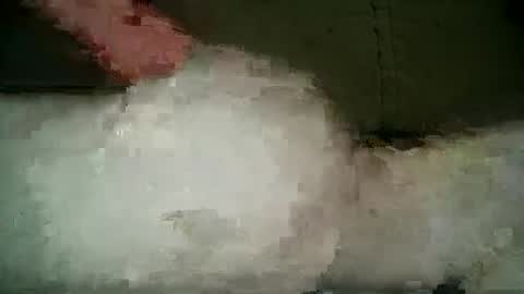 Wendy online show from March 5, 2025, 9:59 pm