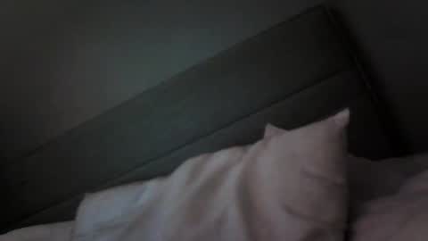 BADLANDS online show from October 18, 2025, 12:06 pm