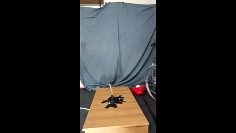 xoomia3 online show from January 10, 2026, 10:28 am