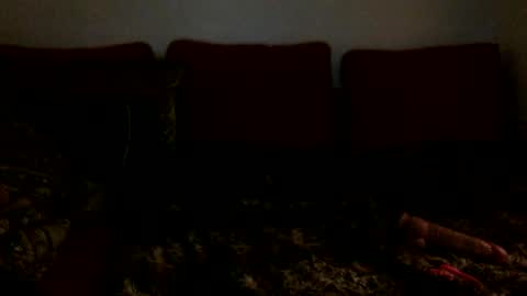 3 online show from February 16, 2025, 6:43 am