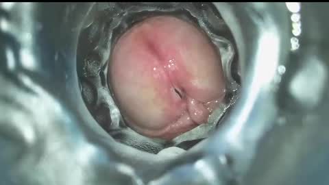 Snapshot of xoxowtf chatting on December 16, 2024, 7:43 pm xoxowtf online show from December 16, 2024, 7:43 pm