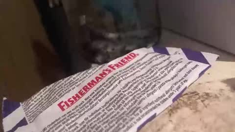 Snapshot of xvoyeur2011x chatting on April 3, 2026, 7:34 pm xvoyeur2011x online show from April 3, 2026, 7:34 pm