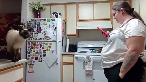 Snapshot of xxstrawberryjanexx chatting on December 14, 2024, 5:07 am Strawberry Jane online show from December 14, 2024, 5:07 am