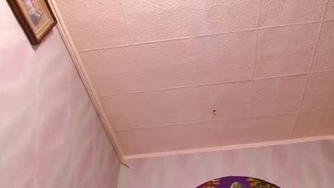 isa and gonzo online show from February 2, 2025, 9:40 am