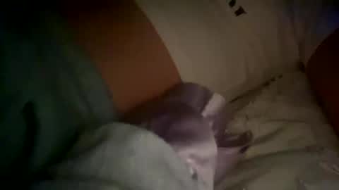 xxxsophiaday online show from October 4, 2025, 8:56 am