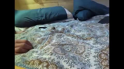 Xzbib online show from March 10, 2025, 12:29 am