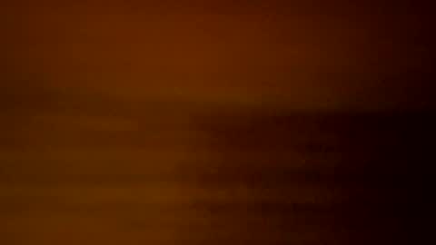 yacht3oy online show from December 3, 2024, 9:00 am