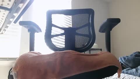 Snapshot of yahbuddy chatting on October 3, 2025, 7:55 pm yahbuddy online show from October 3, 2025, 7:55 pm