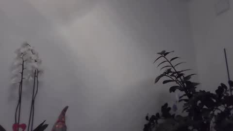 yakijoe online show from March 22, 2026, 10:57 pm