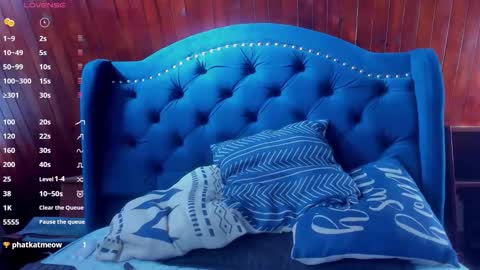 yan_nyan online show from December 15, 2025, 8:13 pm