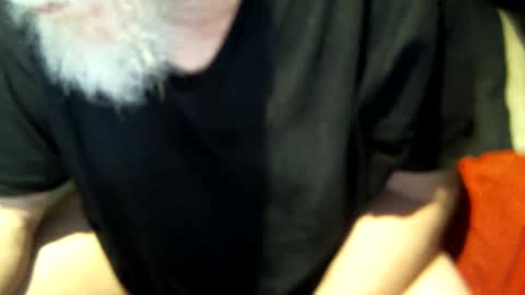 .     y e l l o w s n a k e s       . online show from March 8, 2025, 12:30 pm