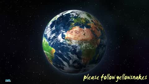 .     y e l l o w s n a k e s       . online show from October 9, 2025, 5:00 pm