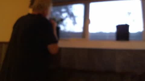 .     y e l l o w s n a k e s       . online show from October 19, 2025, 12:44 am