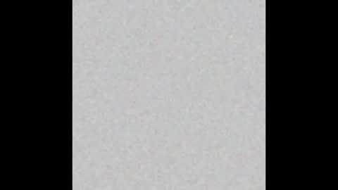 .     y e l l o w s n a k e s       . online show from November 4, 2025, 7:29 am