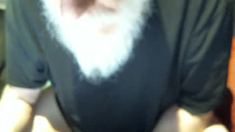 .     y e l l o w s n a k e s       . online show from November 15, 2025, 2:24 pm