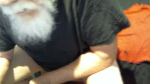 .     y e l l o w s n a k e s       . online show from November 27, 2025, 6:21 pm