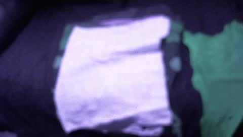 .     y e l l o w s n a k e s       . online show from December 15, 2025, 4:00 pm