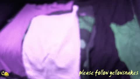 .     y e l l o w s n a k e s       . online show from December 17, 2025, 11:27 am