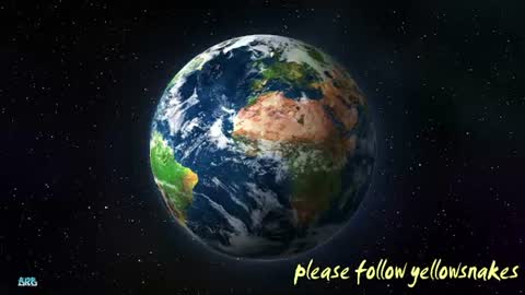 .     y e l l o w s n a k e s       . online show from December 22, 2025, 2:25 pm