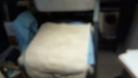 .     y e l l o w s n a k e s       . online show from February 3, 2026, 4:43 am