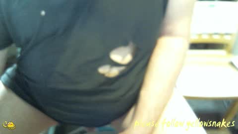 .     y e l l o w s n a k e s       . online show from February 8, 2026, 9:40 pm