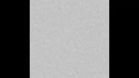 .     y e l l o w s n a k e s       . online show from March 16, 2026, 7:12 am