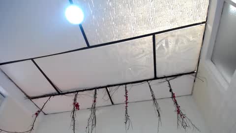 YEM online show from March 23, 2026, 3:38 pm