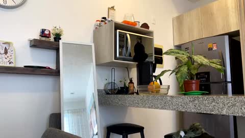 Zlata online show from February 2, 2025, 10:28 pm