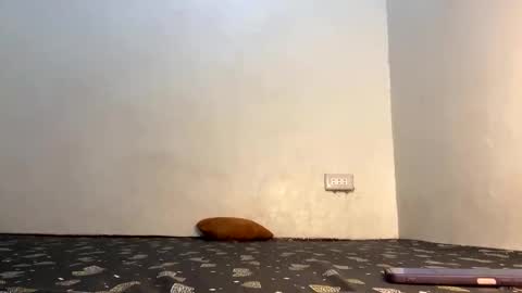 fin online show from April 21, 2026, 6:09 am