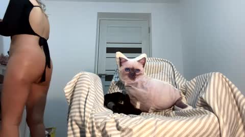 private on 18 per minute start private 500 tokensOnlyfans  online show from January 31, 2025, 9:59 am