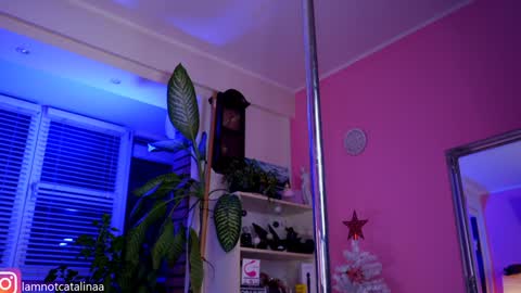 YourBabyPearl online show from January 7, 2025, 5:09 pm