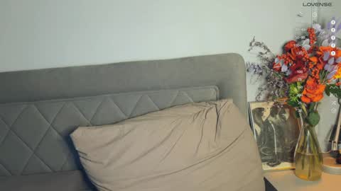 Snapshot of yourher0in chatting on February 4, 2025, 6:27 pm Aida online show from February 4, 2025, 6:27 pm