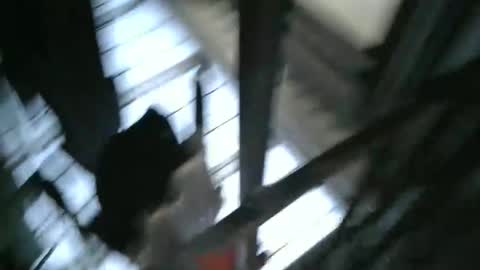 yourpersonalgeniusl online show from December 15, 2024, 10:47 pm