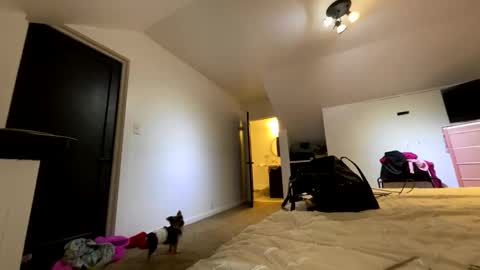 BbyTSSLut online show from November 21, 2025, 2:32 am