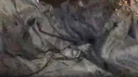 yungin470 online show from February 25, 2026, 8:46 am